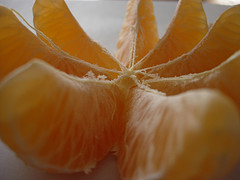 Segmentation